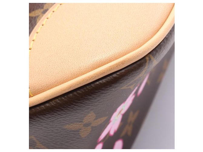 Borsa Louis Vuitton x Takashi Murakami Boulogne PM Monogram Sakura Marrone Multicolore Monogramma - vista 6