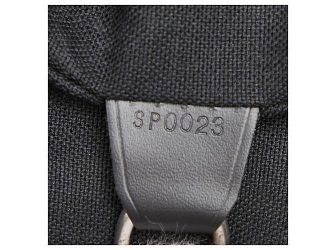 Borsa a tracolla Louis Vuitton Taiga Delsu Nero Grigio - vista 13