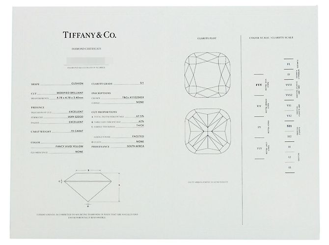 Autre Marque Anello Tiffany & Co. Soleste con diamante Fancy Vivid Yellow - vista 8