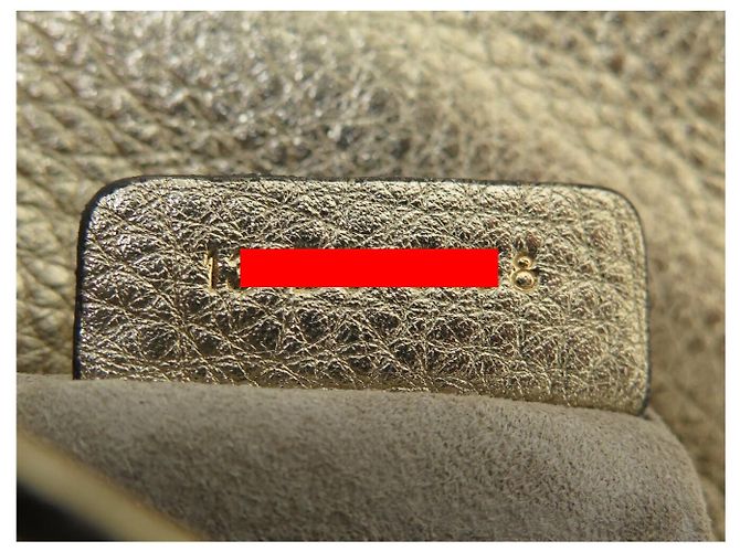 Christian Dior NUOVA BORSA A MANO DIOR DIORAMA SMALL PELLE GRANA DORATA CON TRACOLLA D'oro - vista 12
