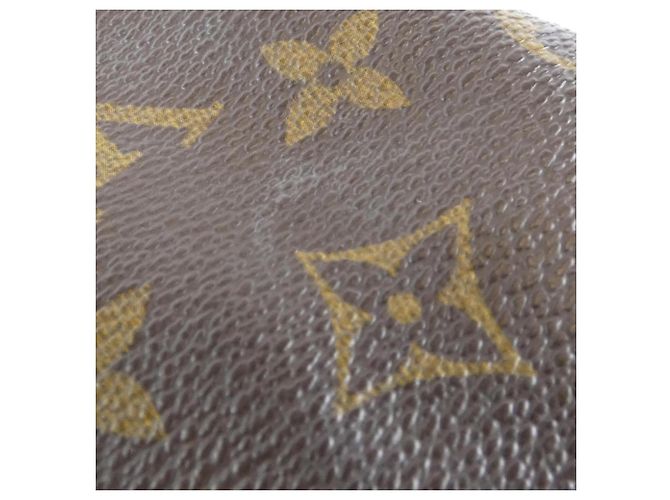Borsa a tracolla Louis Vuitton Monogram Viva Cite PM Marrone - vista 5