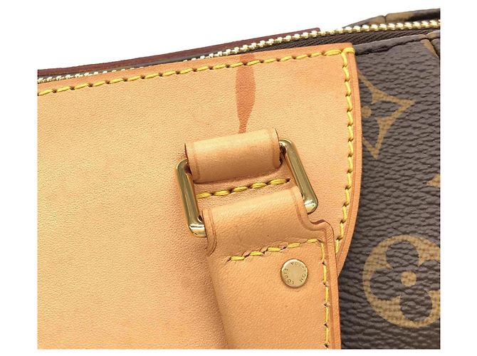 Borsa Louis Vuitton Monogram Estrella Marrone - vista 5