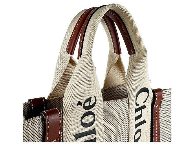 Chloé Woody Borsa a mano / Borsa a tracolla Small in tela e pelle Marrone - vista 11