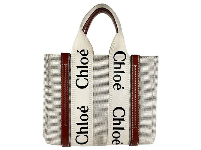 Chloé Woody Borsa a mano / Borsa a tracolla Small in tela e pelle Marrone - vista 3