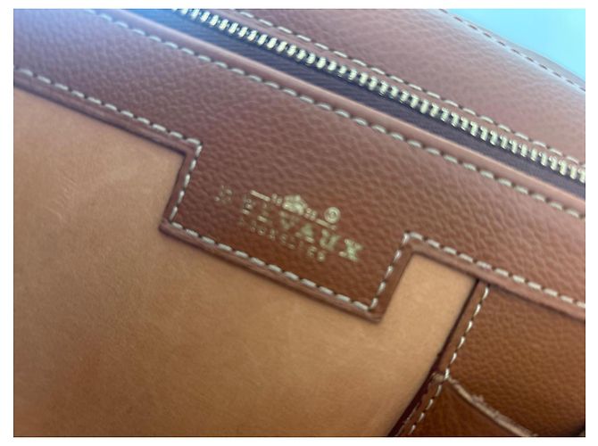 Borsa Delvaux Brillant in pelle marrone - vista 2