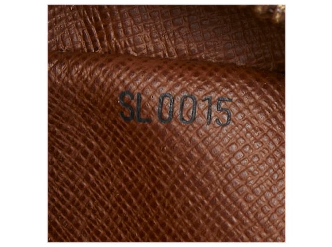 Bolso bandolera Louis Vuitton Monogram Amazon Castaño - vista 13