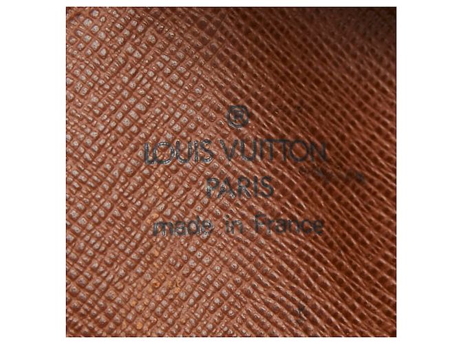 Bolso bandolera Louis Vuitton Monogram Amazon Castaño - vista 14
