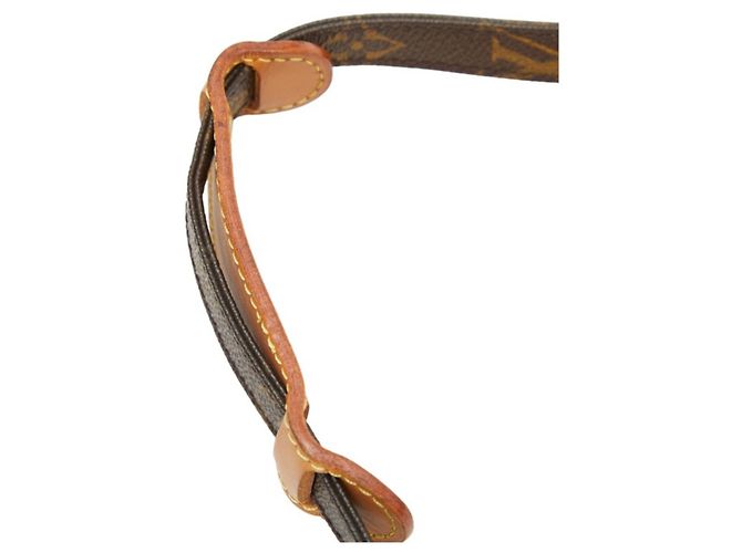 Bolso bandolera Louis Vuitton Monogram Amazon Castaño - vista 8