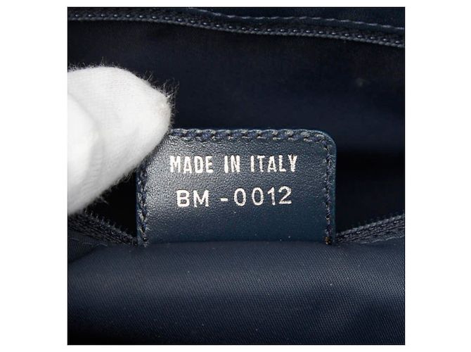 Borsa Christian Dior Dior Oblique Trotter in Navy Blu navy - vista 11