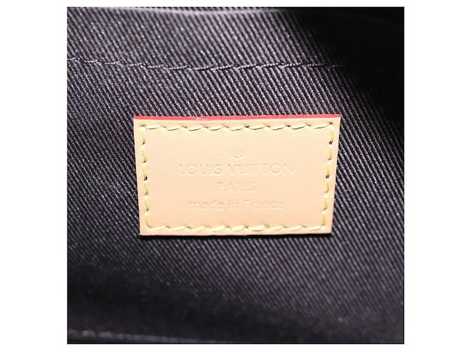 LOUIS VUITTON Monogram Craggy Mini Soft Trunk Bag Beige M25132 LV Auth 200369SM - vista 10