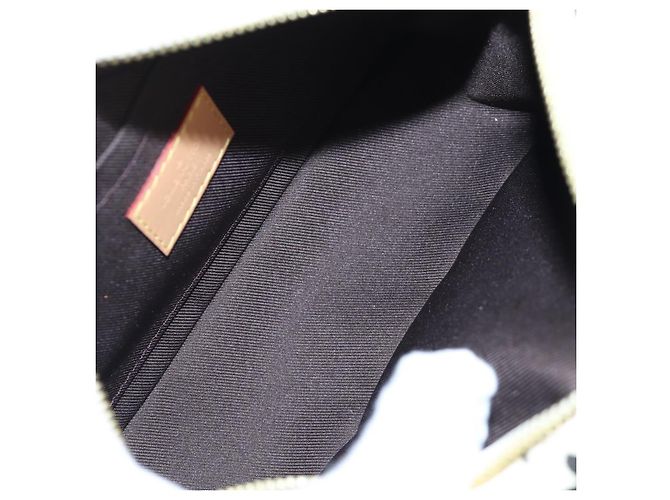 LOUIS VUITTON Monogram Craggy Mini Soft Trunk Bag Beige M25132 LV Auth 200369SM - vista 11