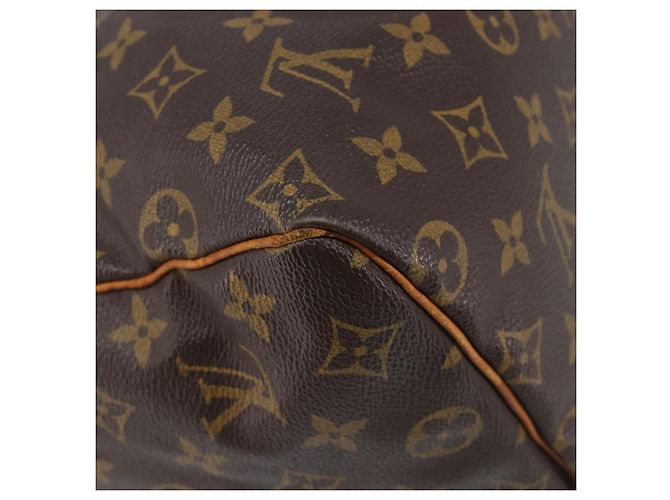 Borsa a mano LOUIS VUITTON Monogram Speedy 25 M41528 LV Auth 204113 Monogramma - vista 18