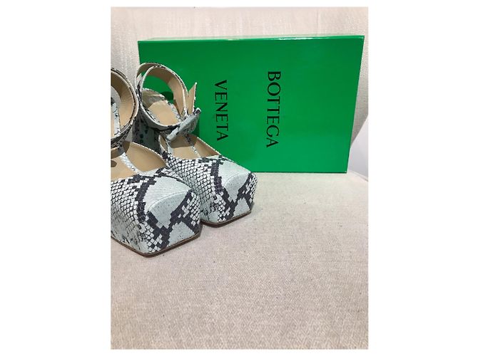 Bottega Veneta Pumps aus Python Gr. 41 Blau - Ansicht 7