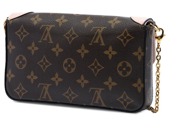 Pochette Félicie Borsa a tracolla Louis Vuitton Monogram Pochette Felicie Valentine Dog Marrone - vista 2
