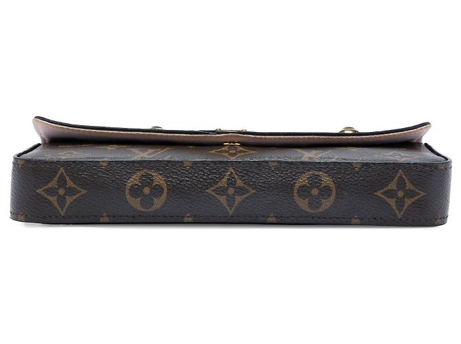Pochette Félicie Borsa a tracolla Louis Vuitton Monogram Pochette Felicie Valentine Dog Marrone - vista 3