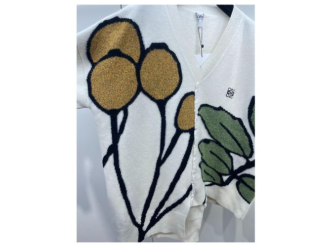 Jersey Loewe de algodón con intarsia floral Multicolor - vista 3