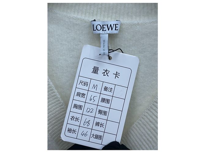 Jersey Loewe de algodón con intarsia floral Multicolor - vista 6