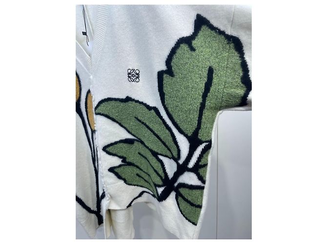 Jersey Loewe de algodón con intarsia floral Multicolor - vista 8