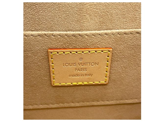 Borsa Louis Vuitton Monogram Jacquard Dauphine MINI Marrone - vista 18