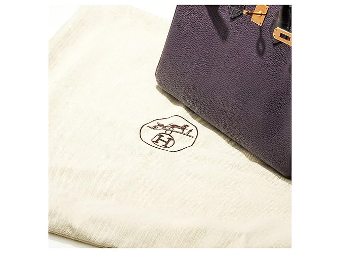 Hermès Birkin 25 aus Togo-Leder mit Krokodil-Akzenten Lila - Ansicht 2