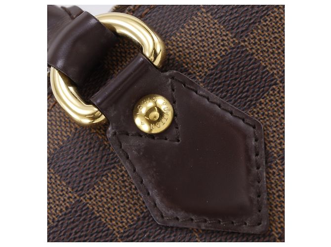 Bolso Tote Louis Vuitton Saleya MM Castaño - vista 16