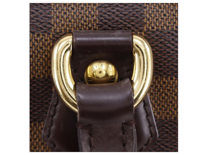 Bolso Tote Louis Vuitton Saleya MM Castaño - vista 17