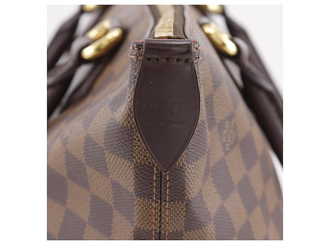 Bolso Tote Louis Vuitton Saleya MM Castaño - vista 18