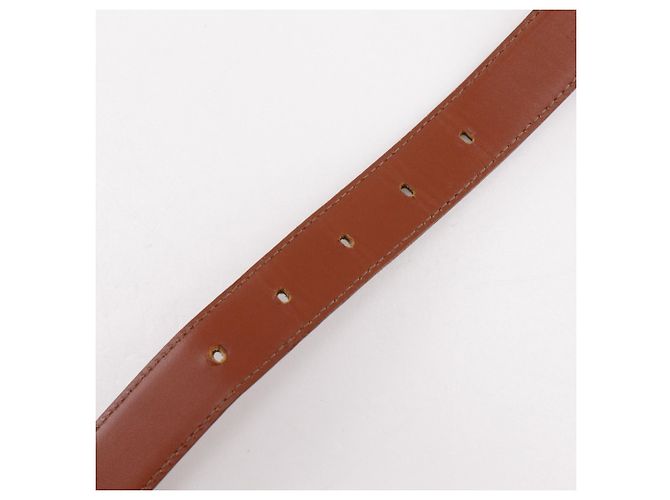 Louis Vuitton Pochette Ceinture Tilsit Waist Bag Marrone - vista 9