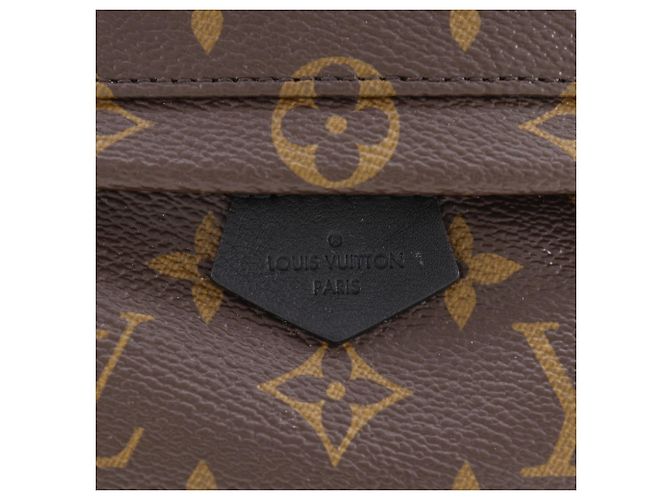 Mochila Louis Vuitton Palm Springs MINI Castaño Monograma - vista 12