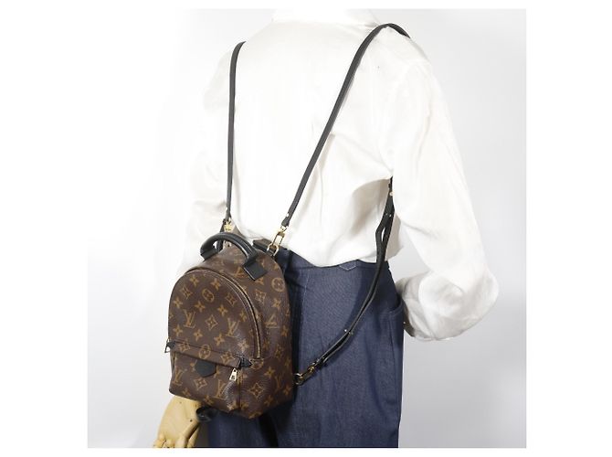 Mochila Louis Vuitton Palm Springs MINI Castaño Monograma - vista 15
