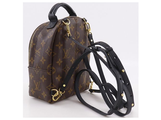 Mochila Louis Vuitton Palm Springs MINI Castaño Monograma - vista 3