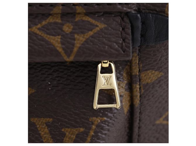 Mochila Louis Vuitton Palm Springs MINI Castaño Monograma - vista 9