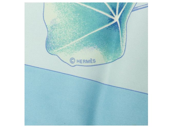 Hermès Blue Les Capucines Seidentuch 90 Blau Hellblau - Ansicht 5