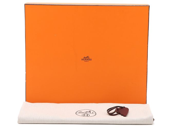 Hermès Orange Toile Sac Steeple 25 Naranja - vista 10