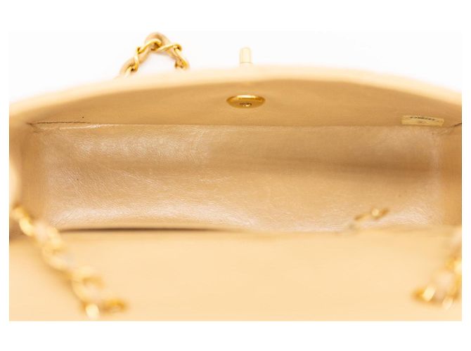 Chanel Diana Small 22 Borsa Flap Beige Oro Gold hardware - vista 12