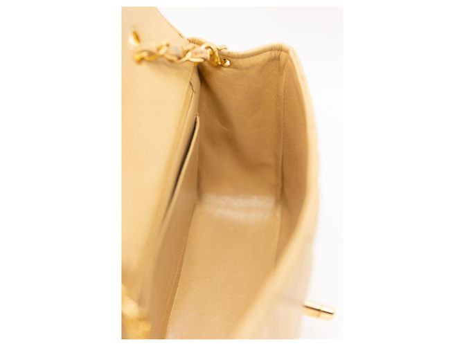 Chanel Diana Small 22 Borsa Flap Beige Oro Gold hardware - vista 15