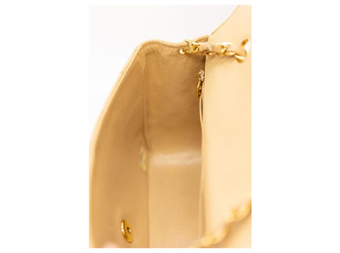 Chanel Diana Small 22 Borsa Flap Beige Oro Gold hardware - vista 16