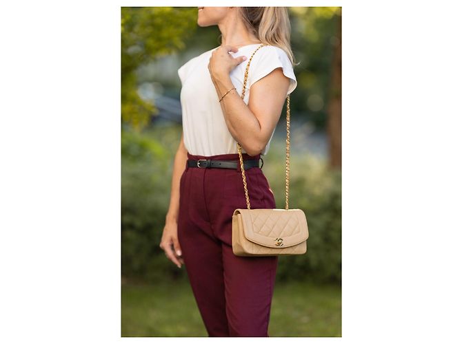 Chanel Diana Small 22 Borsa Flap Beige Oro Gold hardware - vista 17