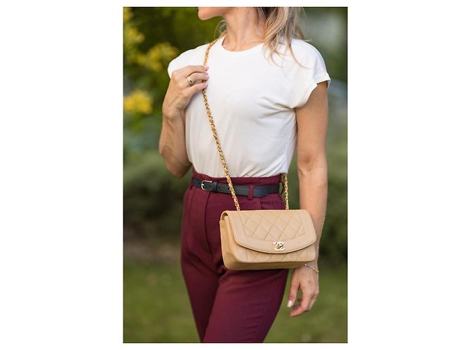Chanel Diana Small 22 Borsa Flap Beige Oro Gold hardware - vista 18