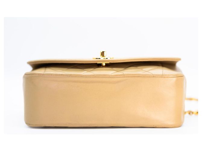 Chanel Diana Small 22 Borsa Flap Beige Oro Gold hardware - vista 6