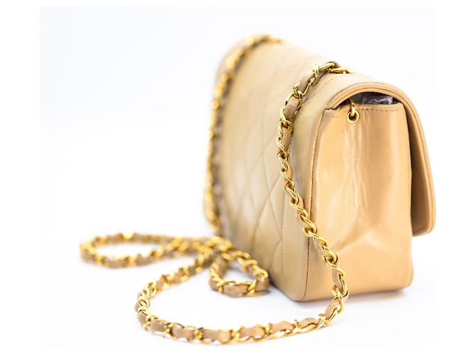 Chanel Diana Small 22 Borsa Flap Beige Oro Gold hardware - vista 8