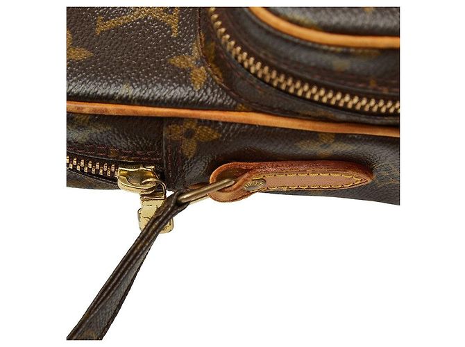 Louis Vuitton Amazon Monogram Crossbody Castaño - vista 9