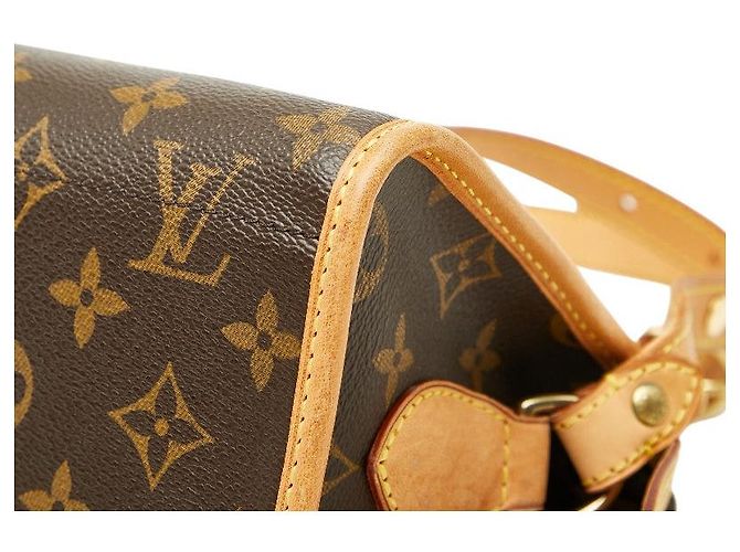 Bolso bandolera Louis Vuitton Popincourt Long Castaño - vista 4