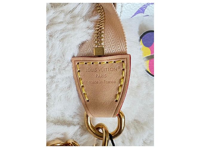 Louis Vuitton x Takashi Murakami Pochette Accessoires Multicolor Bianco Multicolore - vista 12