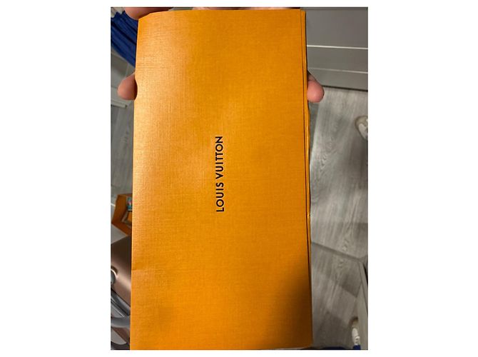 Louis Vuitton Capucines Handtasche Grau Leder Gold hardware - Ansicht 12