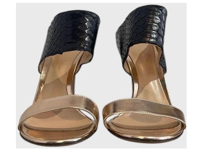 Sandali Gianvito Rossi python T.37,5 Nero - vista 2