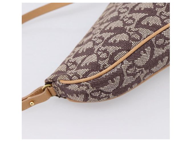Pouch Saddle Christian Dior Trotter Canvas Marrone Oro Auth am12668V D'oro - vista 17