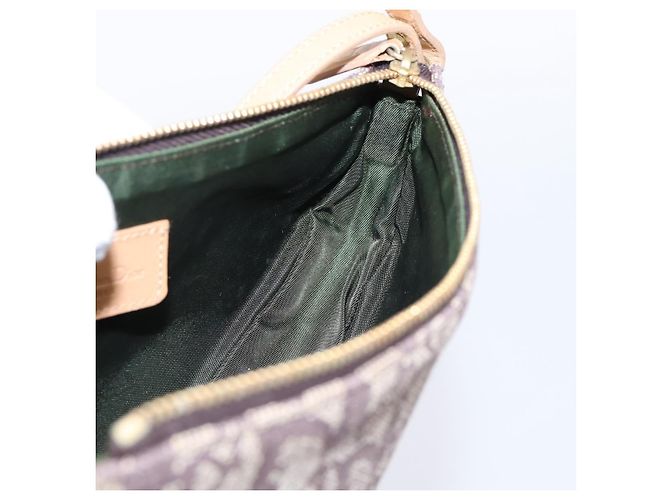 Pouch Saddle Christian Dior Trotter Canvas Marrone Oro Auth am12668V D'oro - vista 19