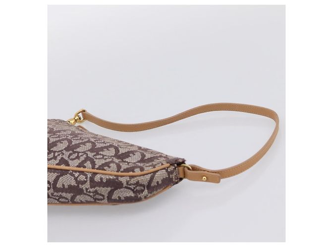 Pouch Saddle Christian Dior Trotter Canvas Marrone Oro Auth am12668V D'oro - vista 8