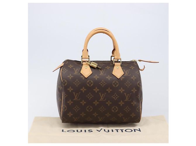 LOUIS VUITTON Monogram Speedy 25 Hand Bag M41528 LV Auth 204411SAV Monogramma - vista 12